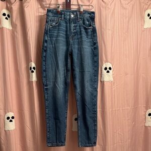 American Eagle Outfitters Blue Straight Leg Jeans Strigid short